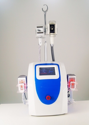 Vácuo gordo 60Hz da máquina do emagrecimento do gelo de Lipolaser Cryolipolysis com os punhos 1