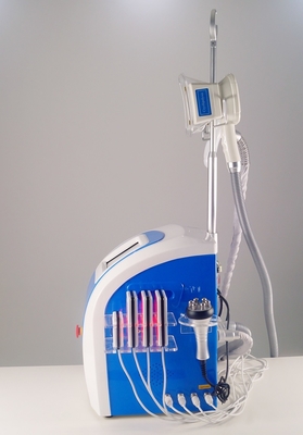 Vácuo gordo 60Hz da máquina do emagrecimento do gelo de Lipolaser Cryolipolysis com os punhos 1