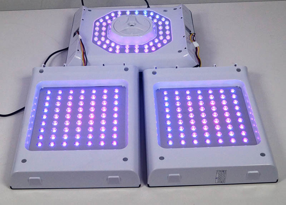 Cor clara vermelha facial da máquina 24W 6 da terapia da luz do diodo emissor de luz de PDT para a acne