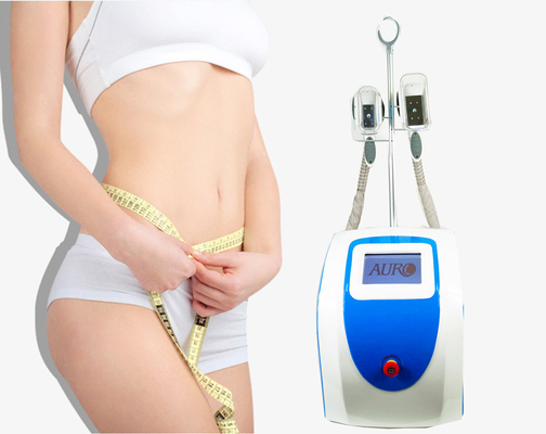 Perda gorda da redução de 2 celulites da máquina do emagrecimento de Cryolipolysis do punho