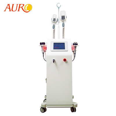 Máquina vertical 4 do RF da cavitação em 1 máquina fria da cavitação de Lipo do melhor do laser de Cryo da redução gorda