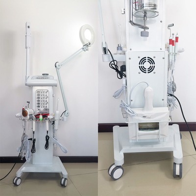 Máquina facial multifuncional 14 do purificador da pele em 1 cor branca para termas