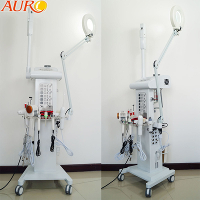 Lâmpada de ampliação facial multifuncional da máquina 110V 220V do pulverizador do vácuo do salão de beleza