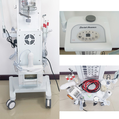 Lâmpada de ampliação facial multifuncional da máquina 110V 220V do pulverizador do vácuo do salão de beleza