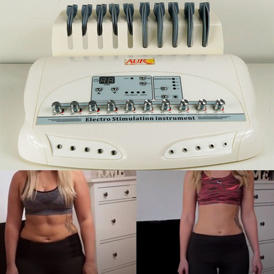 Máquina 35W 110V do Stimulator do músculo da fisioterapia do EMS - 220V para o emagrecimento do corpo