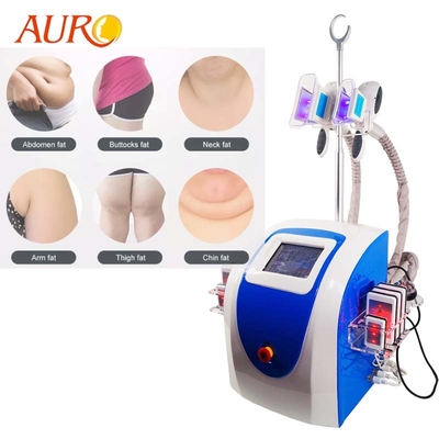 RF máquina 4 do emagrecimento de um Cryolipolysis de 360 graus em 1 máquina de congelação gorda de Cryo