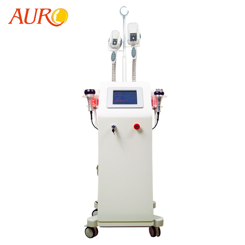 Máquina vertical 4 do RF da cavitação em 1 máquina fria da cavitação de Lipo do melhor do laser de Cryo da redução gorda